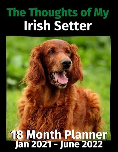 The Thoughts of My Irish Setter