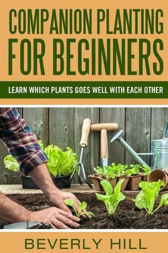 Companion Planting For Beginners
