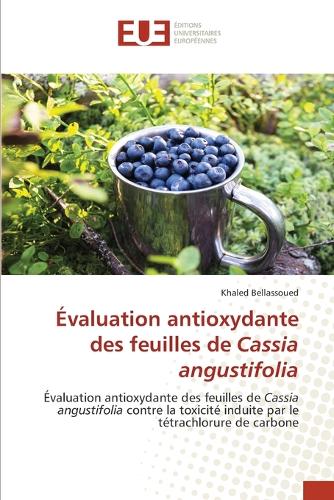 Évaluation antioxydante des feuilles de Cassia angustifolia