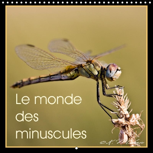 Le monde des minuscules 2019