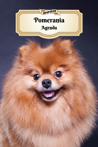 2020 Pomerania Agenda