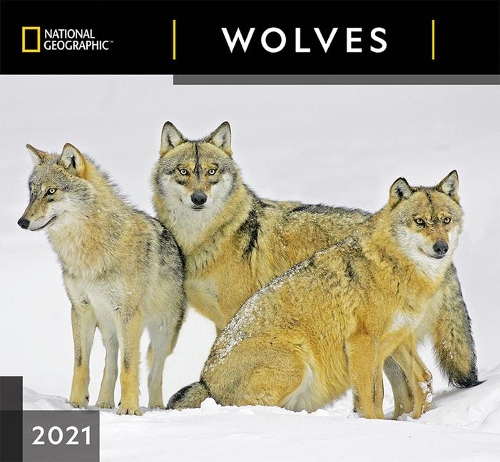 Cal 2021- National Geographic Wolves Wall