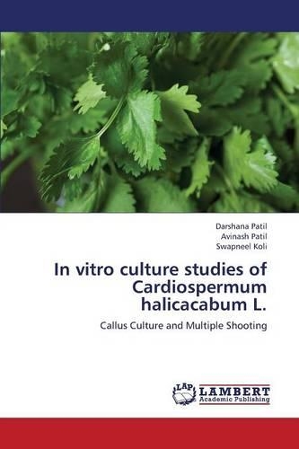 In vitro culture studies of Cardiospermum halicacabum L.: (English)