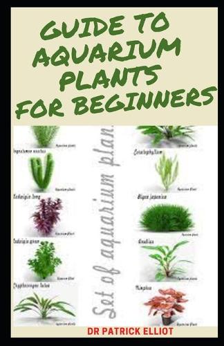 Guide To Aquarium Plants For Beginners