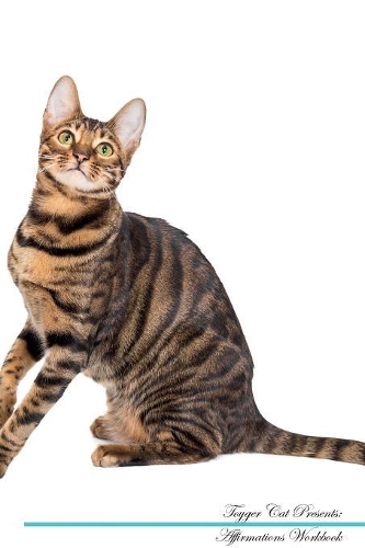 Toyger Cat Affirmations Workbook Toyger Cat Presents: Positive and Loving Affirmations Workbook. Includes: Mentoring Questions, Guidance, Supporting You.