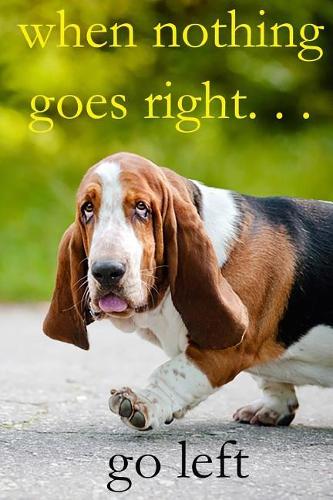 When Nothing Goes Right...Go Left: Journal/Notebook/Diary