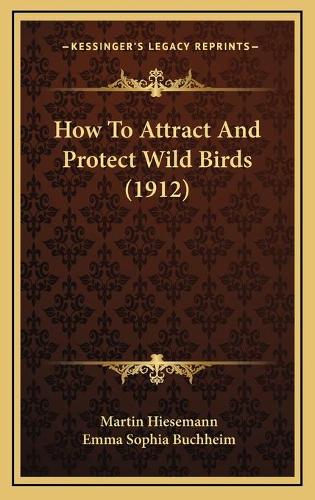 How To Attract And Protect Wild Birds (1912): (English)