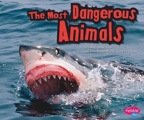 The Most Dangerous Animals