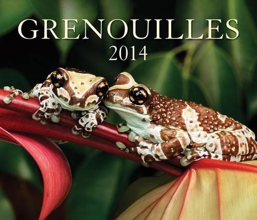 Grenouilles 2014