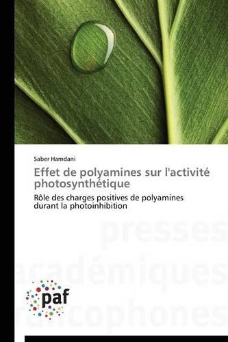 Effet de Polyamines Sur l'Activité Photosynthétique