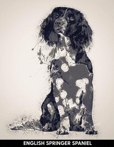 English Springer Spaniel
