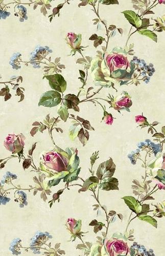 Beautiful Climbing Roses