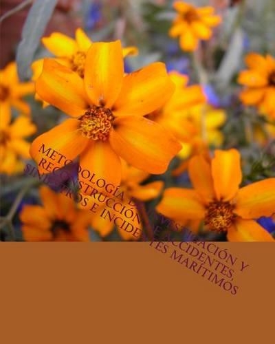 Metodología de Investigación y Reconstrucción de Accidentes, Siniestros e Incide: (Spanish)