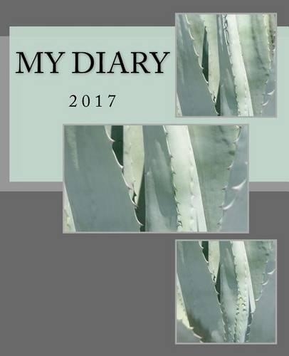 My Diary: 2017(English)