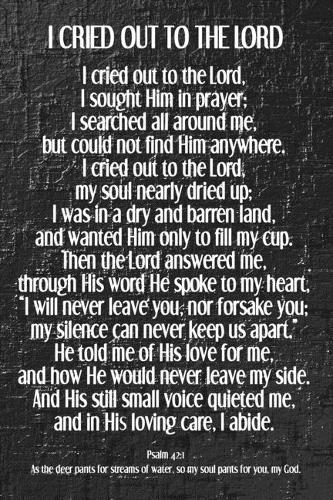 I Cried Out To The Lord: Gray Faux Metallic 6x9 Journal With 120 Blank Lined Pages, Christian Men's Journal, Inspirational Poem Notebook, Religious Gift Book, Depression Dia