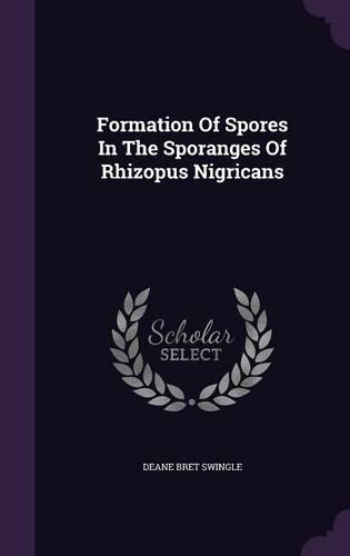 Formation of Spores in the Sporanges of Rhizopus Nigricans