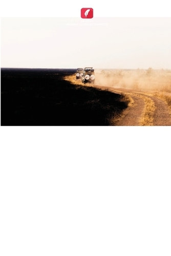 Serviços de Informação Agrícola