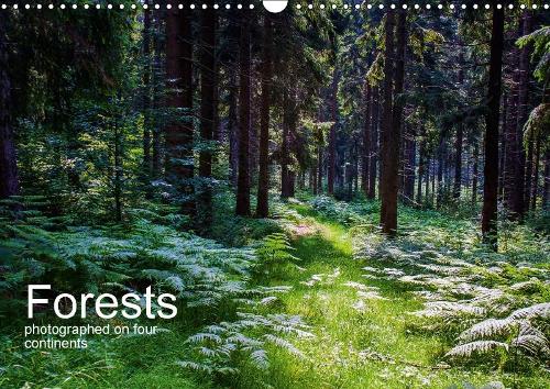 Forests Photographed on Four Continents 2018: See Pictures of Forests in Germany, Namibia, South Africa, Australia and USA.(Calvendo Places)
