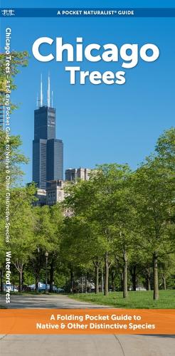 Chicago Trees