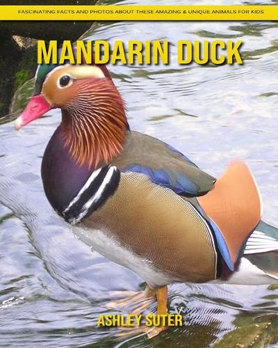 Mandarin Duck