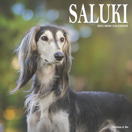 Saluki