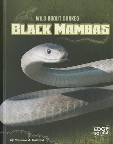 Black Mambas: (Edge Books)