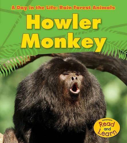 Howler Monkey