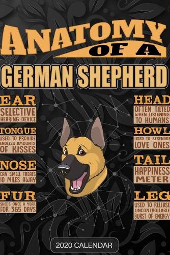 Anatomy Of A German Shepherd