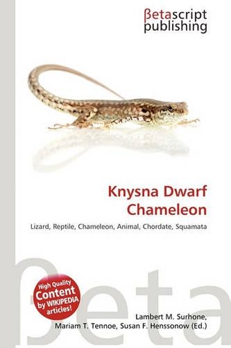 Knysna Dwarf Chameleon