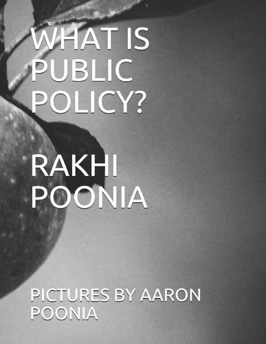 What Is Public Policy?