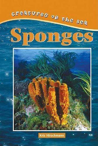 Sponges