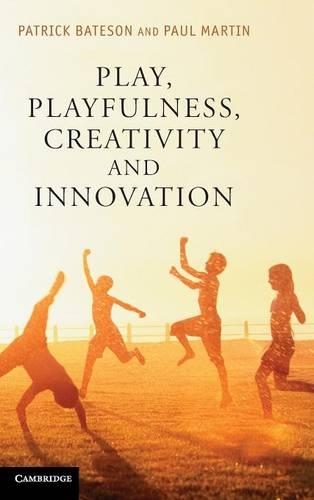 Play, Playfulness, Creativity and Innovation: How Playful Behaviour Drives Innovation(English)