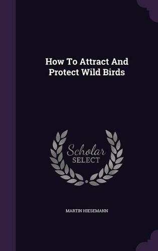 How To Attract And Protect Wild Birds