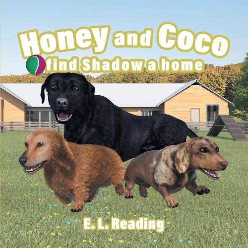 Honey and Coco find Shadow a home