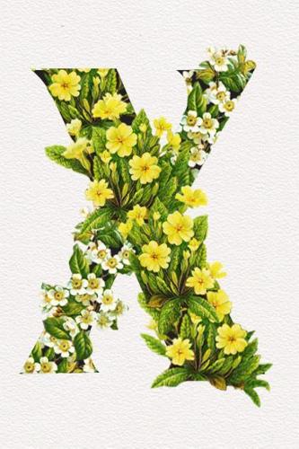 Floral Initials Dot Grid Journal - X: A Fun Notebook to Celebrate Your Favorite Alphabet Letter