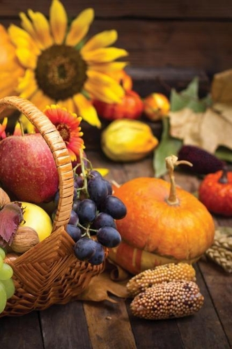 Autumn Harvest Bounty 2 Any Day Planner Notebook: Scheduler Organizer Datebook(11 Autumn Awe 150 Planner)