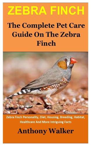 Zebra Finch