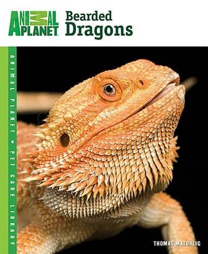 Bearded Dragons