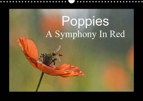 Poppies A Symphony in Red 2017: It is Almost Too Beautiful. the Red Poppies in a Wheat Field Swaying Gently in the Wind, the Buzz of Insects and Birdsong That Will Accompany You Th(Calvendo Nature)