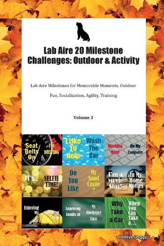 Lab Aire 20 Milestone Challenges: Outdoor & Activity Lab Aire Milestones for Memorable Moments, Outdoor Fun, Socialization, Agility, Training Volume 3