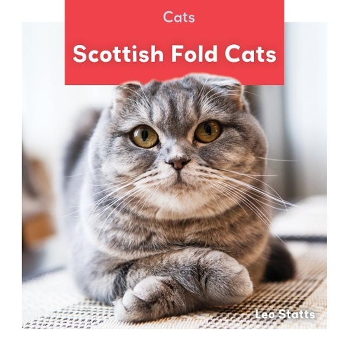 Scottish Fold Cats: (Cats)