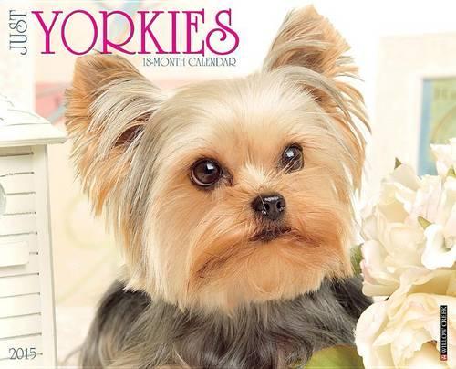 Just Yorkies Calendar
