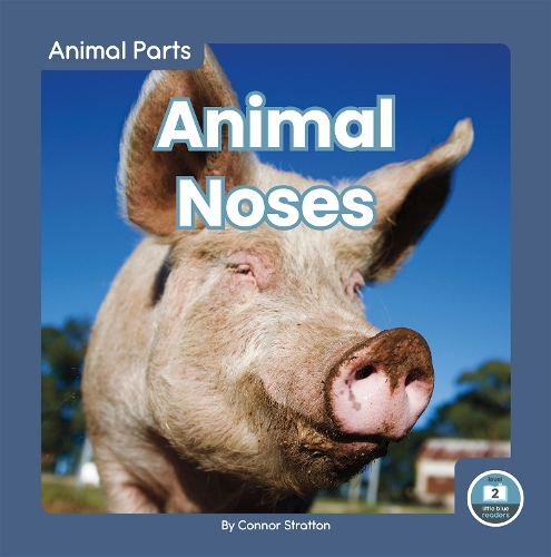 Animal Noses