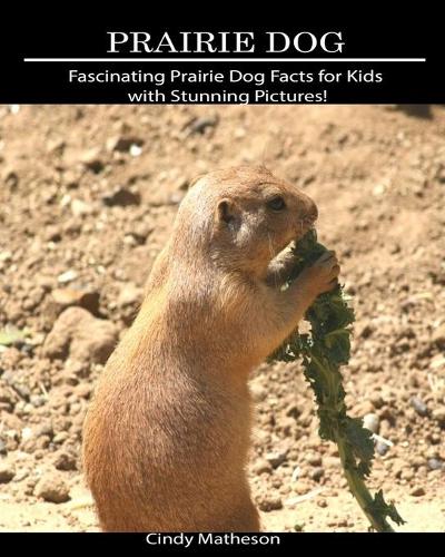 Prairie Dog