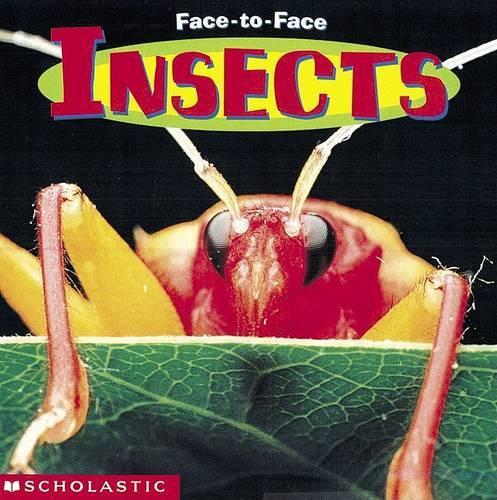 Insects