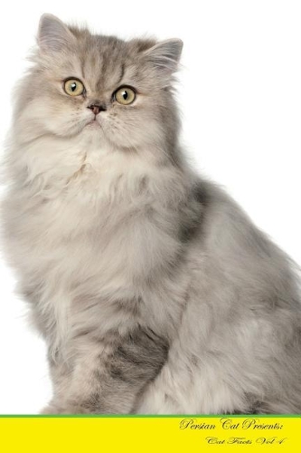 Persian Cat Presents