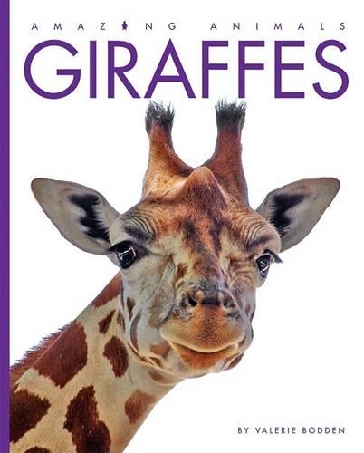 Giraffes: (Amazing Animals (Creative Education Hardcover))