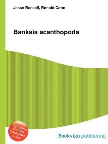 Banksia Acanthopoda: (English)