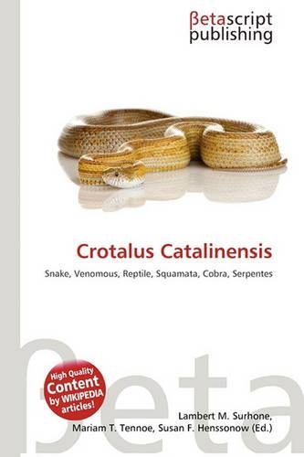 Crotalus Catalinensis