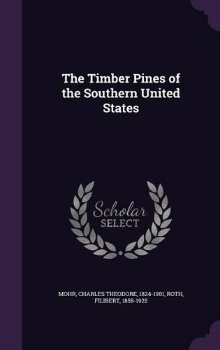 The Timber Pines of the Southern United States